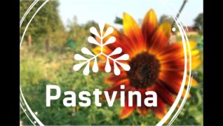 Pastvina