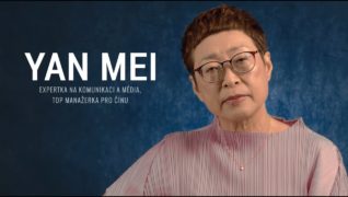 Voices of Meltingpot – Yan Mei